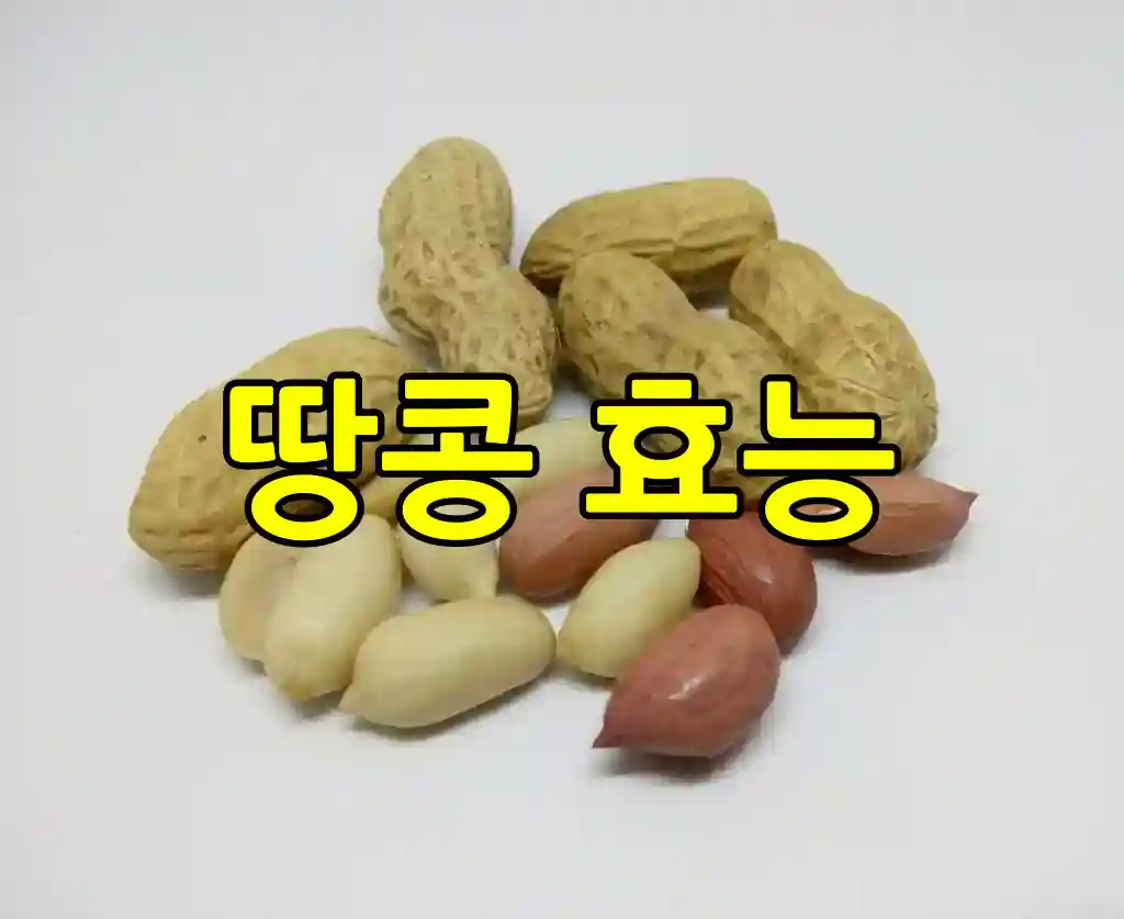 땅콩 효능