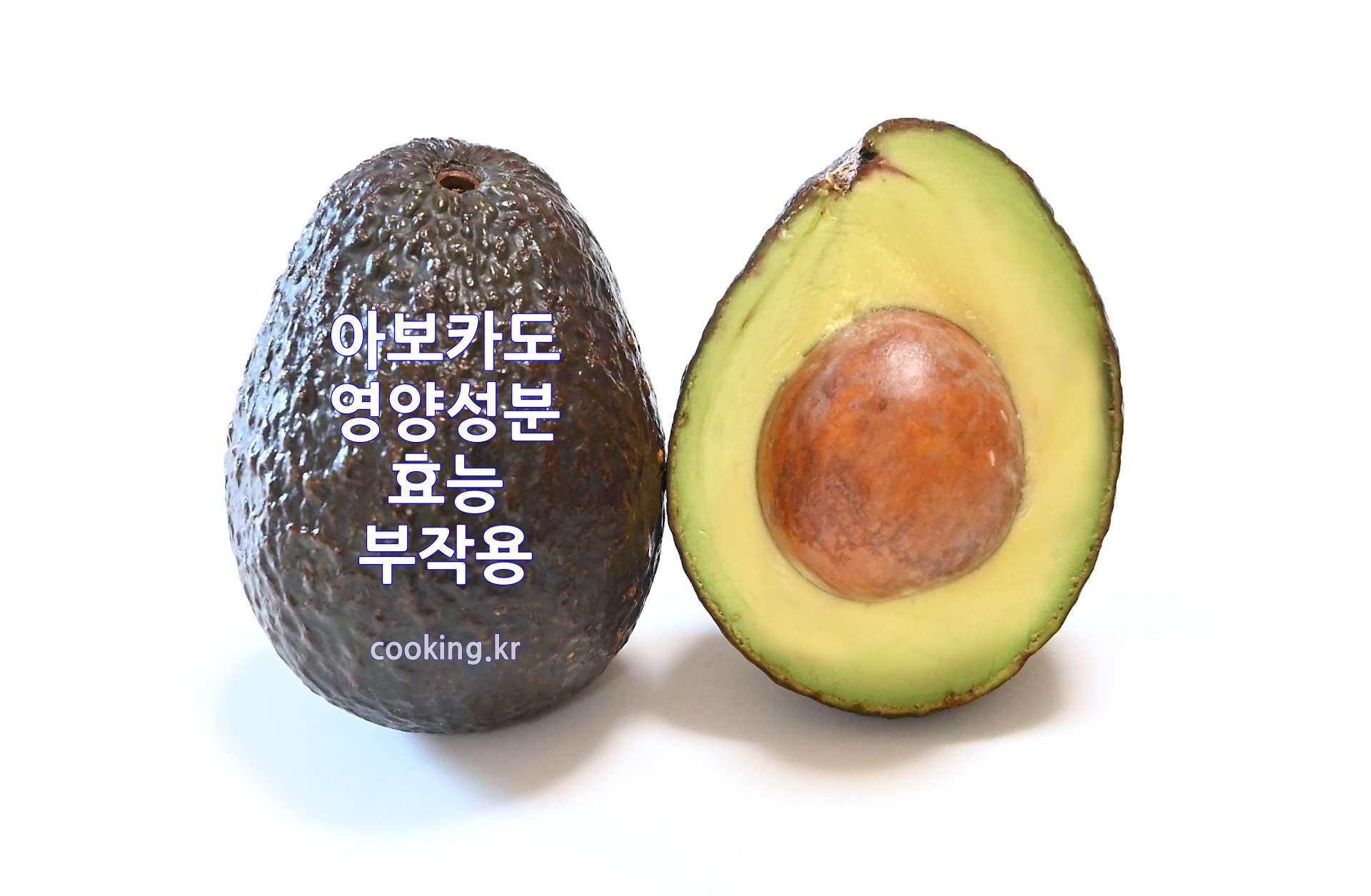 아보카도(Avocado)