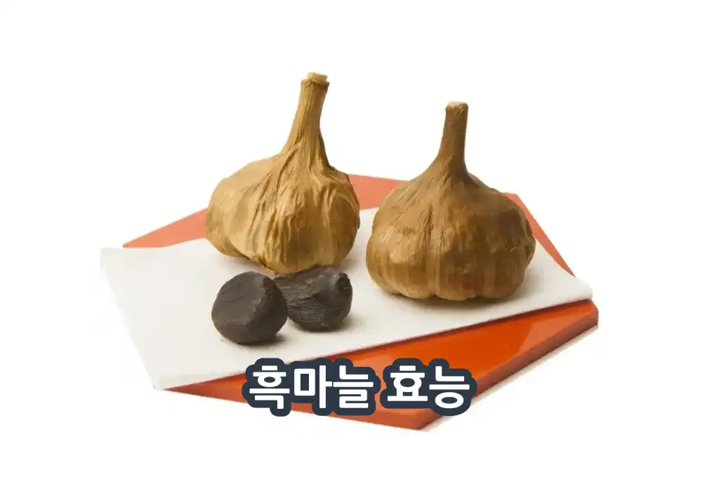 흑마늘 효능